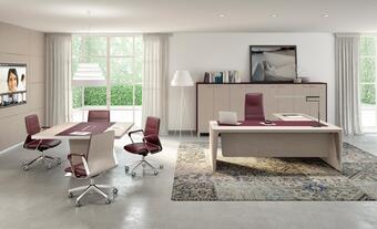 EXECUTIVE OFFICE FURNITURE